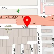 پیشگامان طب دیجیتال