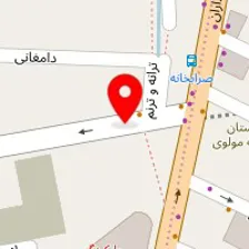 تارا هاشمی