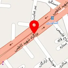 رادمان پلاست