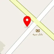 فروشگاه لوازم یدکی البرز دانگ فنگ سلیمانی