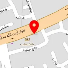 بازرگانی برادران تقی پور