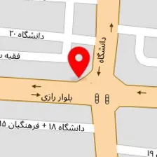 خوراک پرنده سیمرغ