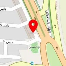 اورژینال پژو امجدی