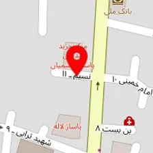 کیف و کفش آنتیک