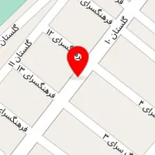 پلاسکو سید