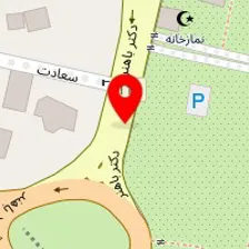 تدریس تکنیک های نقاشی خصوصی فقط بانوان