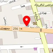 تهیه غذای دلما