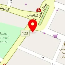 فست فود فان