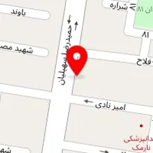 پیتزا متری سی ناز