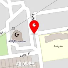 فروشگاه ظروف یکبار مصرف تمشک ابی