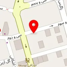 شیرین عسل گاندی