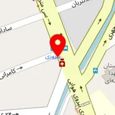 فروشگاه شیرین عسل