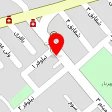 فست فود دومینو