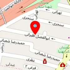 الکترو نیکو