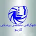 لوگوی فتوگرافی پزشکی کارینو