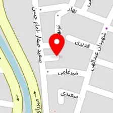 پمپ لئو