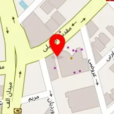 محصولات هنری زین