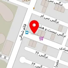 الکتریکی رعیت