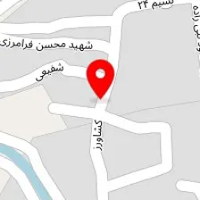 الکتریکی سیگنال