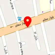 دزدگیر قصر