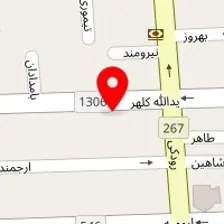 دکتر مرتضی طباطبائی