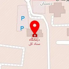 دکتر محمدرضا شکوری