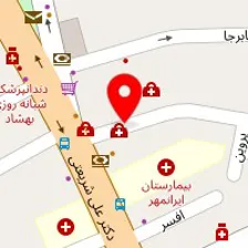 دکتر ویدا دولتی