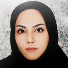 وکیل سمیه برزوئی