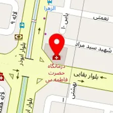 دکتر مریم حمیدیه