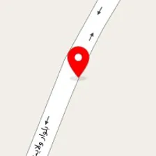 کاکتوس جزیره