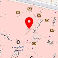 لوازم تولدی کاکتوس ( کاویانی )