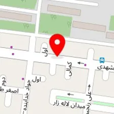 سالن زیبایی گل یخ