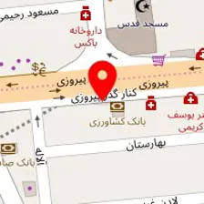 دکتر سینا امین روان