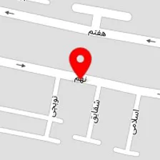 دکتر تورج رشیدی