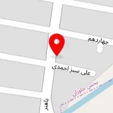 قالیشویی نقشینه