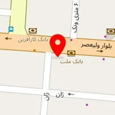 دکتر زهرا نوروززاده