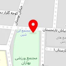 مرکز رنگ مو استر