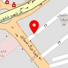 دکتر نسرین مصطفی لو