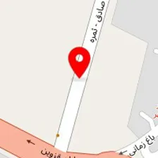 دکتر آنیتا مدیر روستا