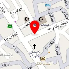 الکتریکی مجتبی جارو برقی چرخ گوشت