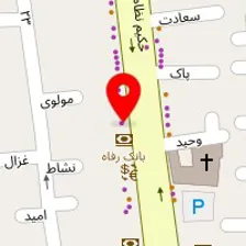دکتر مهشاد رفیع زاده