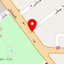 دکتر آرمان پهلوانی