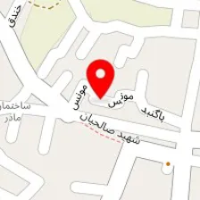 سالن پیرایش سلبریشی