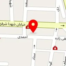 دکتر متین کردستانی