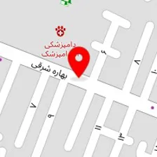 عادل ارزونی
