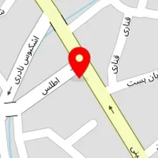 نقش جهان حسینی