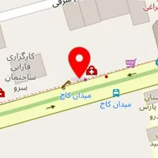 دکتر دینا فداکار