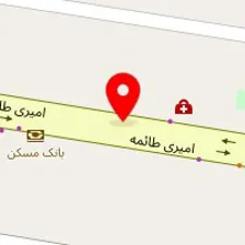 دکتر ستاره فخر طباطبایی