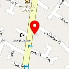 دکتر امیرمنصور شیرانی