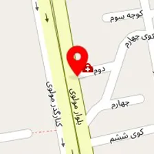 دکتر مائده وکیلی